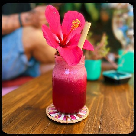 The Happy Bird B&B Hoi An Esterno foto