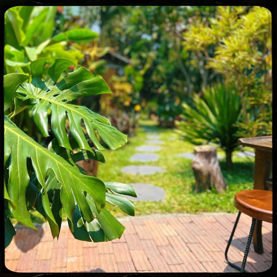 The Happy Bird B&B Hoi An Esterno foto